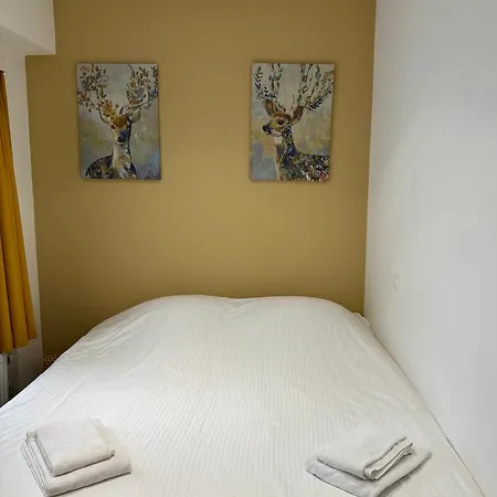 Modern Gelijkvloers Gezinsappartement דירה קנוקה-הייסט