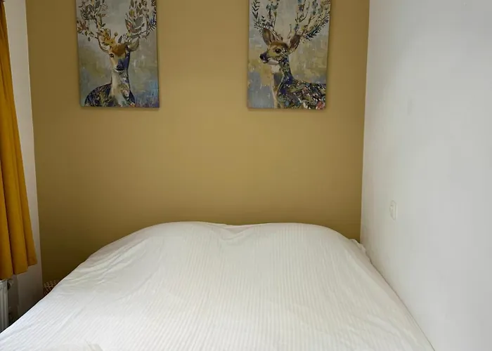 Modern Gelijkvloers Gezinsappartement Apartamento Knokke-Heist