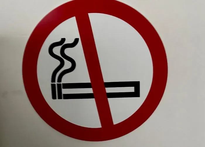 Modern Gelijkvloers Gezinsappartement